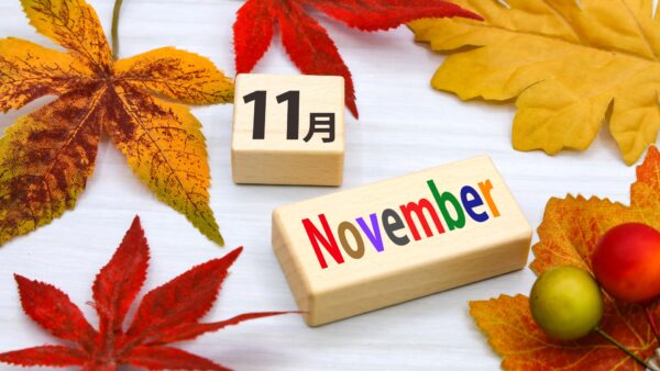 11月レッスン・スケジュール